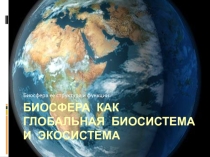 Презентация к уроку Биосфера как глобальная экосистема (10 класс)