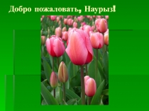 Внеклассное мероприятие Здравствуй праздник НАУРЫЗ