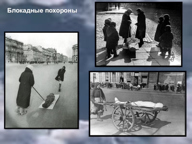Голод в ленинграде год. Блокада Ленинграда люди. Трупы блокадного Ленингр.