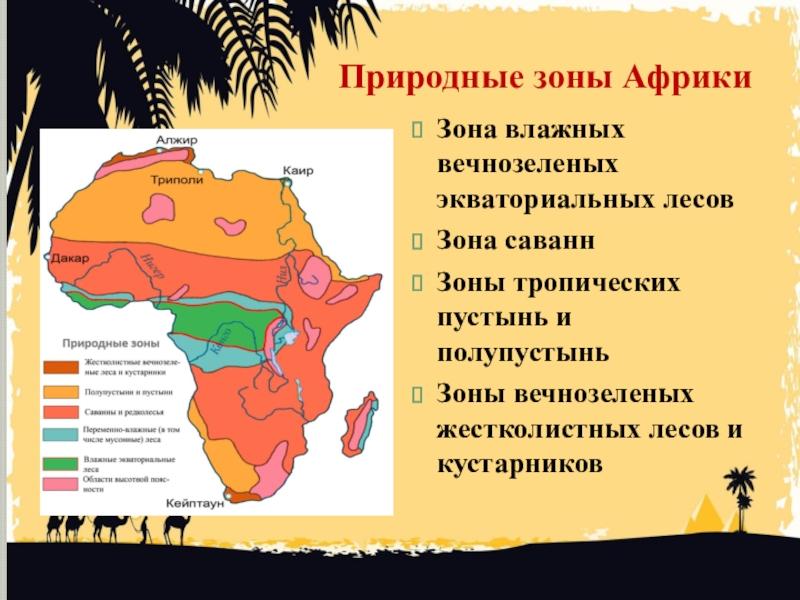 Карта природных зон Африки 7 класс. Географическая карта Африки природные зоны. Природная зона тропического пояса Африки. Природные зоны материка Африка.