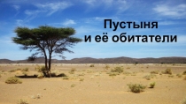 Презентация для подготовительной группы на тему: Пустыня и её обитатели