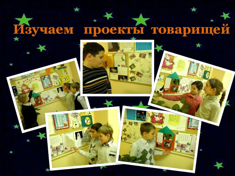 Презентация по окружающему миру на тему Проектная деятельность- Мой домашний питомец(2 класс) Изучаем проекты товарищей Изучаем проекты товарищей