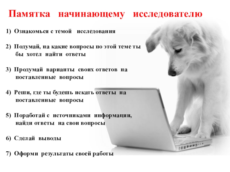 Презентация по окружающему миру на тему Проектная деятельность- Мой домашний питомец(2 класс) Памятка начинающему исследователю 1) Ознакомься с темой исследования Памятка начинающему исследователю 1) Ознакомься с темой исследования 2) Подумай,
