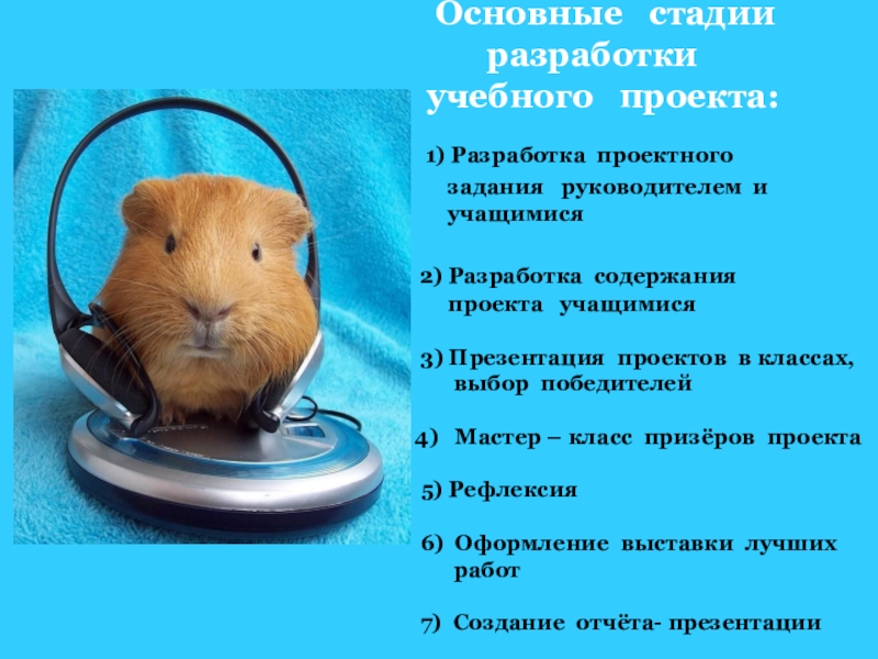 Презентация по окружающему миру на тему Проектная деятельность- Мой домашний питомец(2 класс) Основные стадии разработки Основные стадии разработки