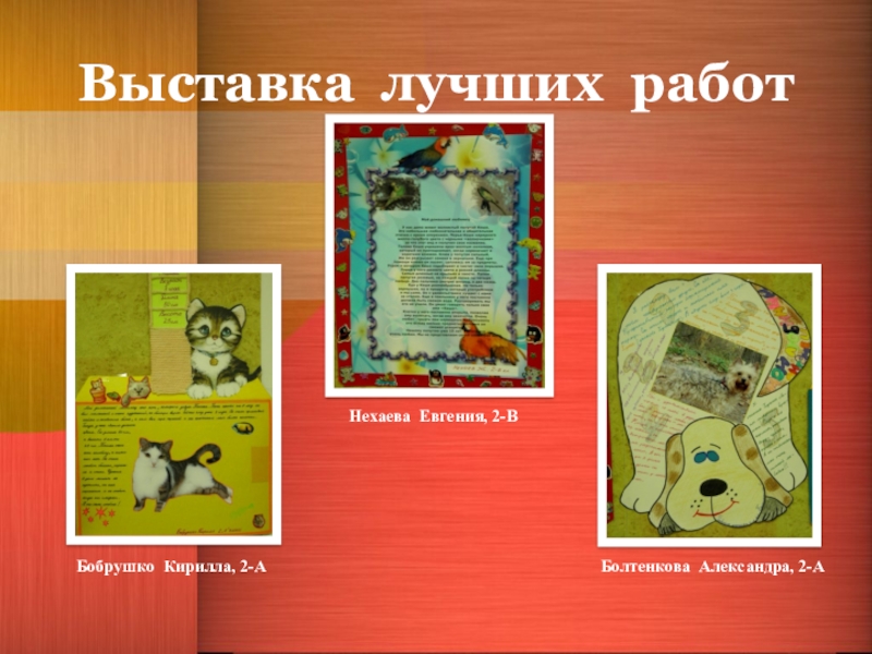Презентация по окружающему миру на тему Проектная деятельность- Мой домашний питомец(2 класс) Выставка лучших работНехаева Евгения, 2-ВБобрушко Кирилла, 2-АБолтенкова Александра, 2-А Выставка лучших работНехаева Евгения, 2-ВБобрушко Кирилла, 2-АБолтенкова Александра, 2-А