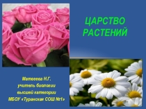 Презентация по биологии на тему Отделы царства Растений (5 класс)