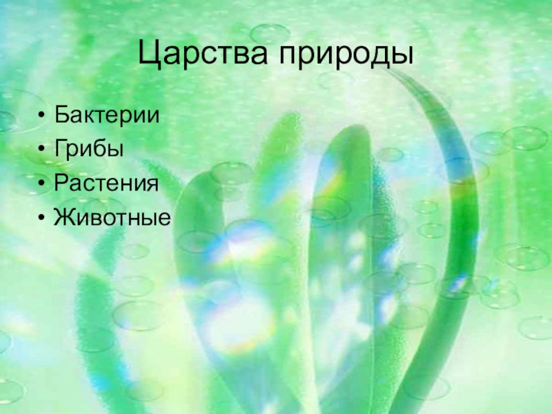 Водоросли 5 буквы. Вопросы по теме водоросли. Загадки на тему водоросли. Проект по теме водоросли. Водоросли по биологии 6 класс.