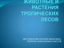 Презентация к уроку окружающего мира по теме Животные тропических лесов