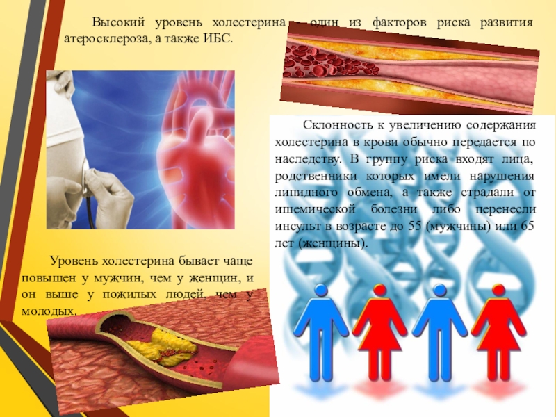 Презентация по ПМ 01. Проведение профилактических мероприятий. Тема Профилактика заболеваний сердечно-сосудистой системы Высокий уровень холестерина - один из факторов риска развития атеросклероза, а Высокий уровень холестерина - один из факторов риска развития атеросклероза, а также ИБС.Склонность к увеличению содержания холестерина