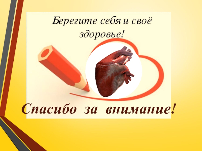 Презентация по ПМ 01. Проведение профилактических мероприятий. Тема Профилактика заболеваний сердечно-сосудистой системы Спасибо за внимание! Спасибо за внимание!