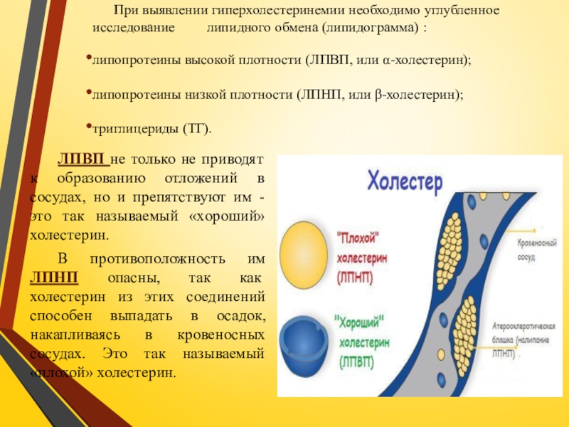 Презентация по ПМ 01. Проведение профилактических мероприятий. Тема Профилактика заболеваний сердечно-сосудистой системы При выявлении гиперхолестеринемии необходимо углубленное исследование липидного При выявлении гиперхолестеринемии необходимо углубленное исследование липидного обмена (липидограмма) :липопротеины