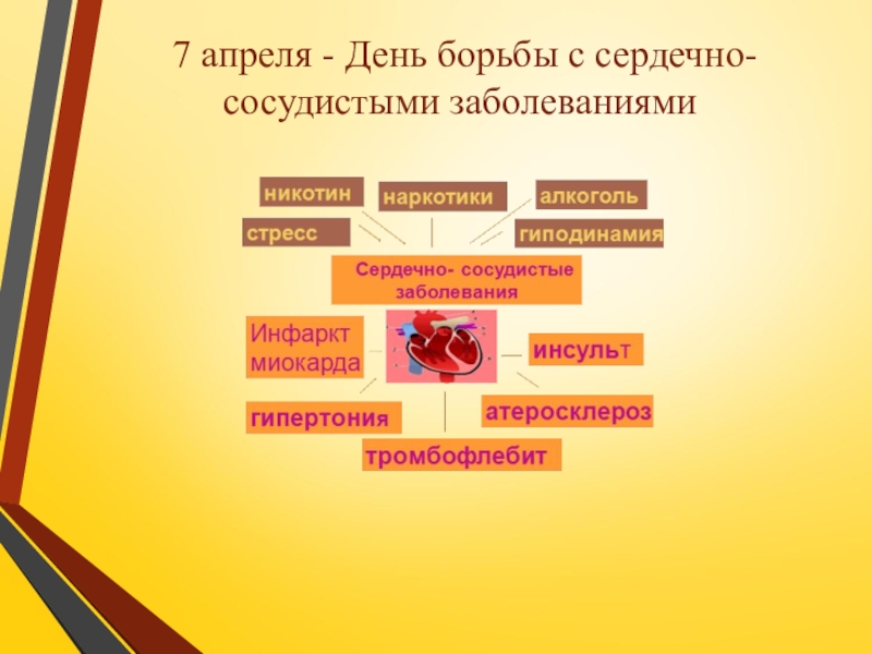 Презентация по ПМ 01. Проведение профилактических мероприятий. Тема Профилактика заболеваний сердечно-сосудистой системы 7 апреля - День борьбы с сердечно-сосудистыми заболеваниями 7 апреля - День борьбы с сердечно-сосудистыми заболеваниями