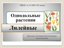 Презентация по биологии Лилейные растения (7 класс)