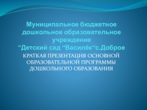 Основная Образовательная программа в ДОУ