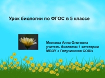 Презентация урока в 5 классе на тему:Покрытосеменные растения