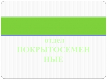 Отдел покрытосеменные презентация по биологии