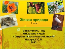Презентация по окружающему миру