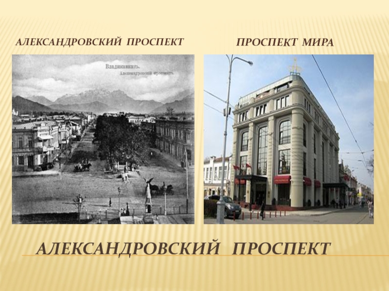 5 александровское. Александровский проспект. Александровский проспект Владикавказ. Александровский проспект 8.