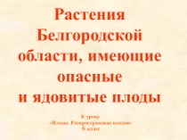 Презентация к уроку биологии Плоды. Распространение плодов