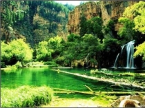 Презентацияк уроку окружающий мир 3 класс Экосистемы