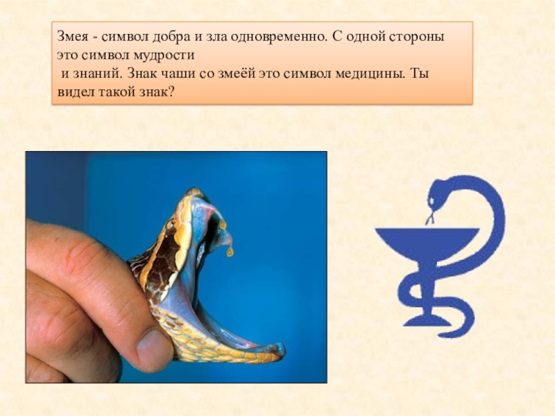 гадюка геральдика. уроборос змея кусающая себя за хвост. символ мудрости и знаний. змея символ. змея символ чего.