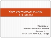 Природная зона России: зона лесов