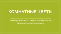 Классный час. Комнатные цветы.