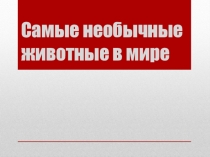 Презентация по предмету Естествознание, раздел Биология