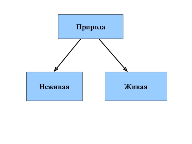 Тех карта живая и неживая природа 2 класс