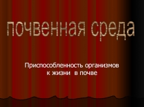 Презентация по природоведению на тему Почвенная среда обитания