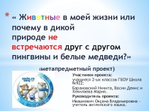 Презентация проекта по английскому языку на тему Животные в моей жизни или Почему в дикой природе не встречаются друг с другом пингвины и белые медведи? (2 класс)