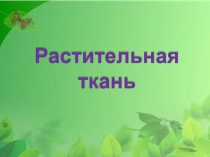 Презентация по экологии на тему Растительная ткань