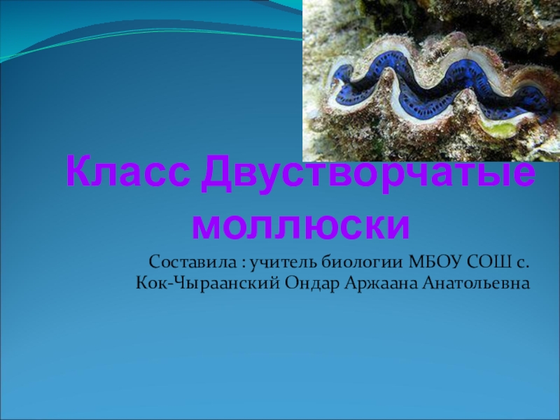 Презентация Презентация по биологии Класс Двухстворчатые моллюски (7 класс)