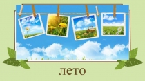 Презентация по ознакомлению с окружающим Лето