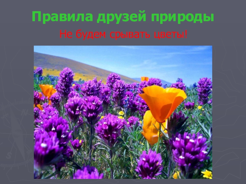 Презентация проекта по окружающему миру на тему: Красная книга или Возьмём под защиту. (2 класс) УМК Школа России. Правила друзей природыНе будем срывать цветы! Правила друзей природыНе будем срывать цветы!