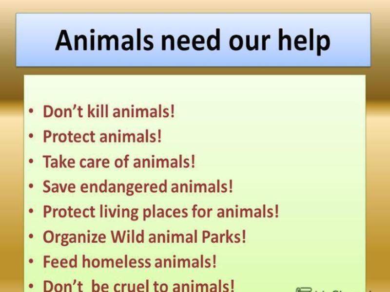 Бездомные животные