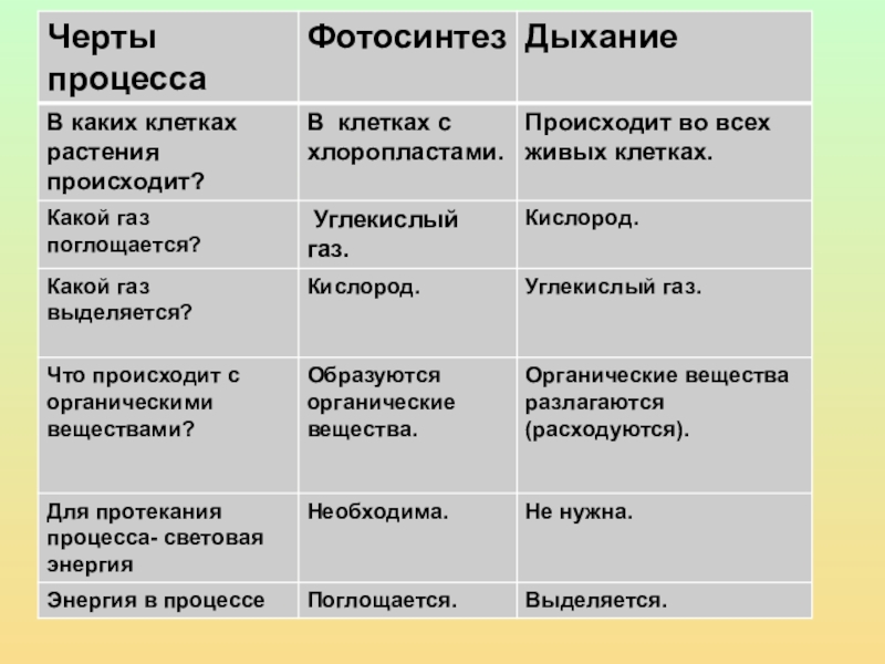 Проект биология 6 класс дыхание растений