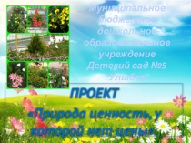 Презентация ПРОЕКТА Природа ценность, у которой нет цены.