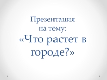 Презентация к уроку окружающего мира на тему Что растет в городе.