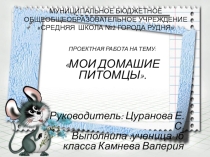 Творческий проект на тему Мои домашние питомцы