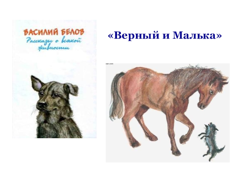 Презентация к уроку литературного чтения на тему Малька провинилась «Верный и Малька»