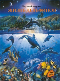 Презентация по окружающему миру на тему Жизнь Дельфинов