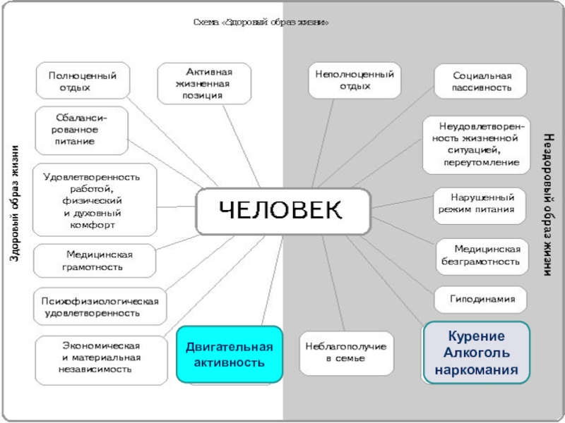 Жизнь человека зависит от других организмов составьте схему на которой отразите это зависимость