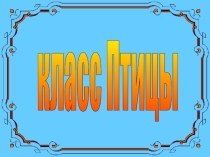 Презентация по теме Класс Птицы (7 класс)