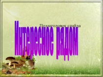 Биологическая викторина по биологии Интересное рядом (6 класс)