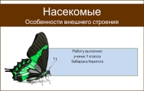 Презентация по биологии на тему  Насекомые. Особенности строения ( 7 класс)