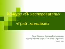 Детский проект Я- исследователь Гриб- хамелеон