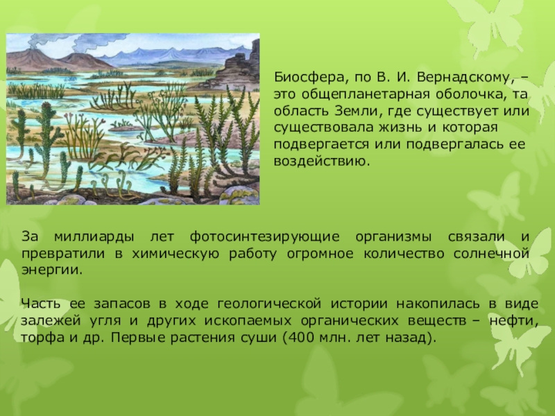 Какую роль в экосистеме играют растения. Первые растения суши (400 млн. Лет назад).