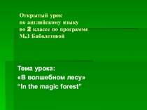 Урок с использованием презентации.