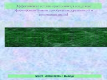 Презентация по биологии на тему